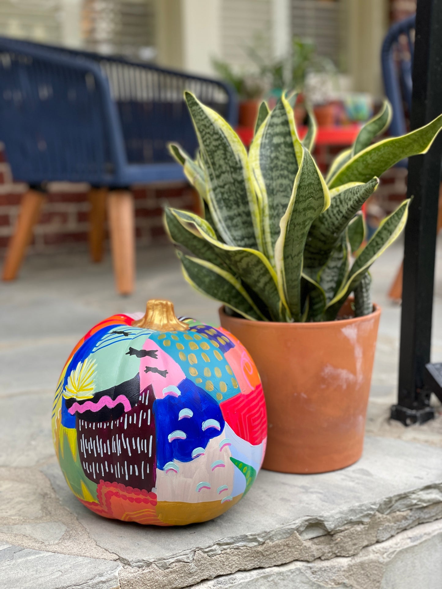 Pumpkin Pre-Order